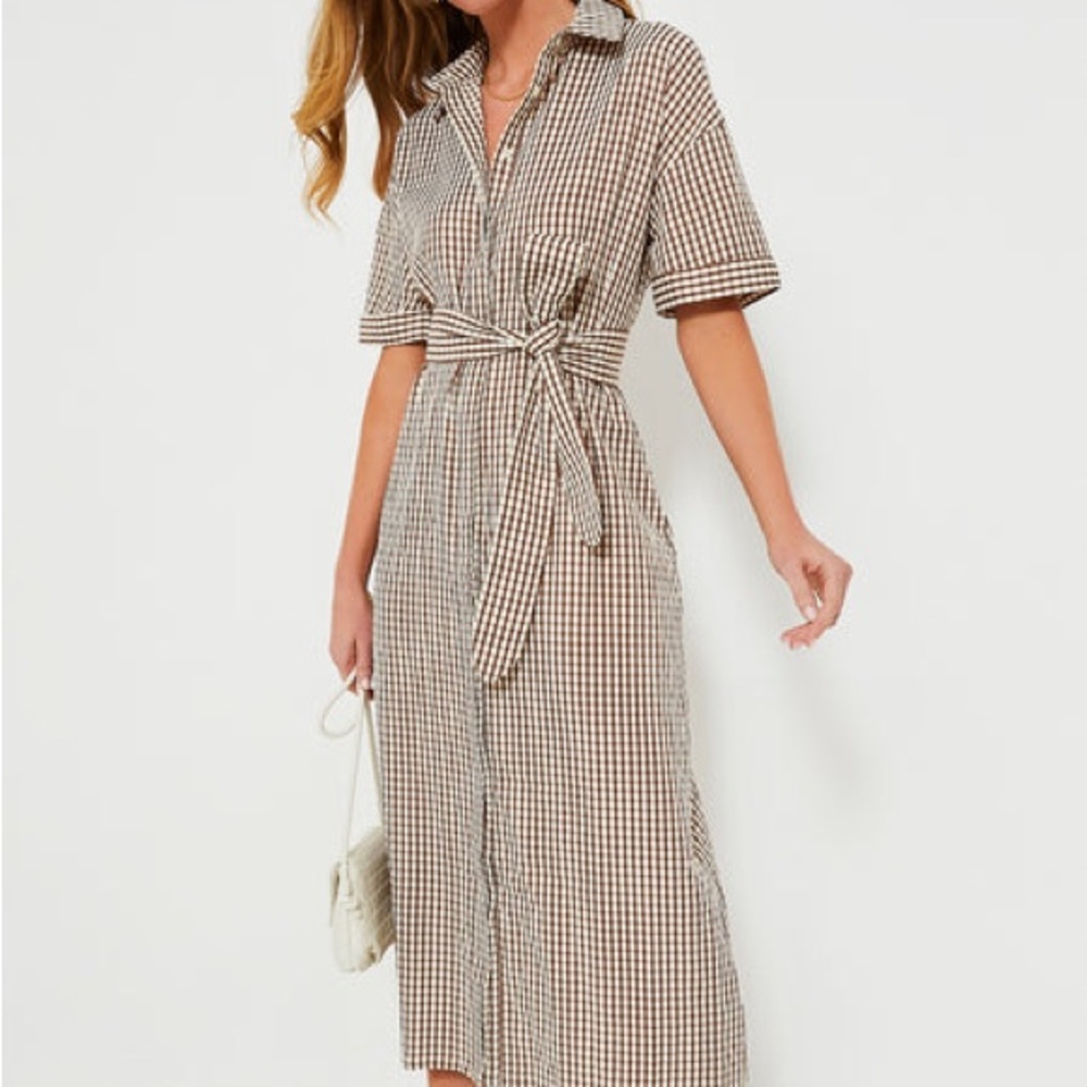 Pomander Place Brown Gingham
Seersucker Zacara Dress